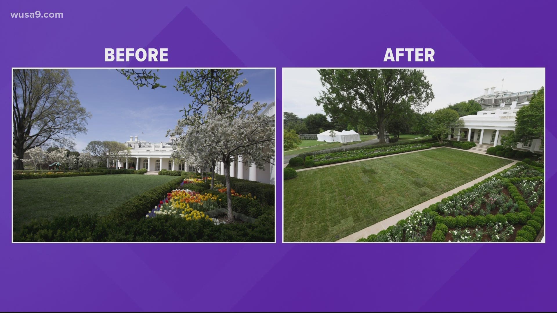 The petition asks Jill Biden and Doug Emhoff to "take this on" and restore the garden to Jackie Kennedy's original design.