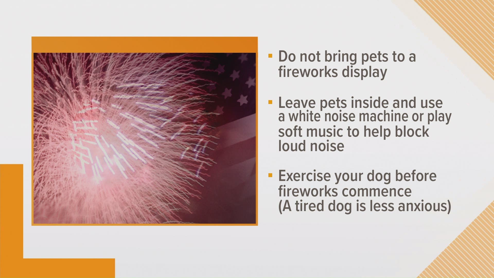 Many people look forward to fireworks on Independence Day, but they can be terrifying and overwhelming for pets.